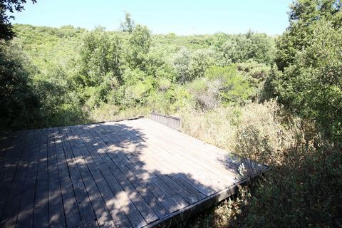 photo no. 11