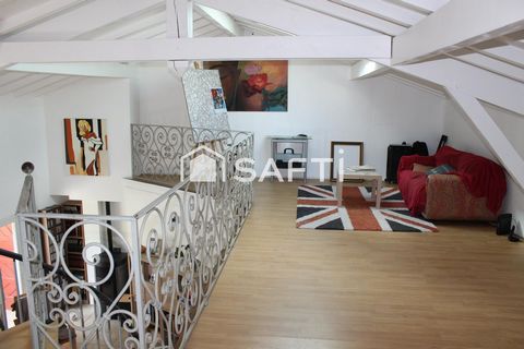 photo no. 11