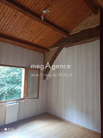 photo no. 6
