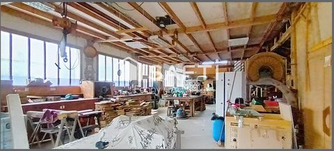 photo no. 19