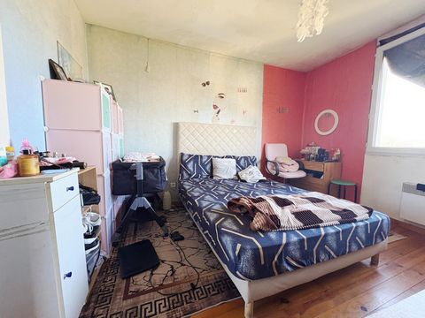 photo no. 6