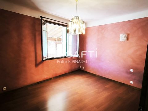 photo no. 11