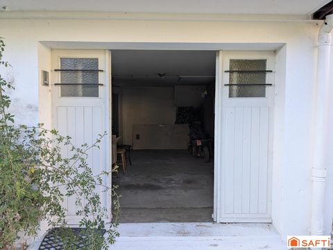 photo no. 6