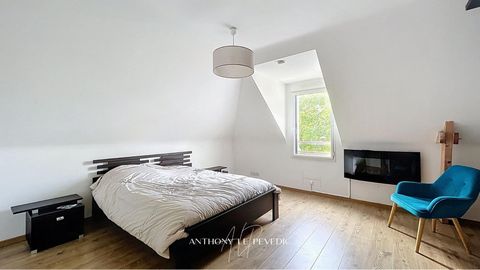 photo no. 14