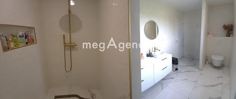 photo no. 10