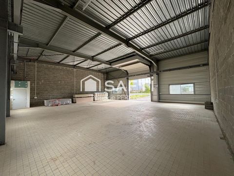 Locaux d'activité Douvres la Délivrande 239 m2