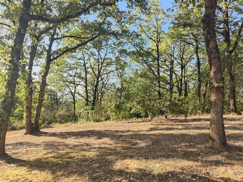 Rare !! Sur les coteaux de Grisolles, magnifique terrain arboré de 2000 m² avec vue imprenable .