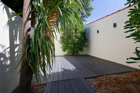 photo no. 7
