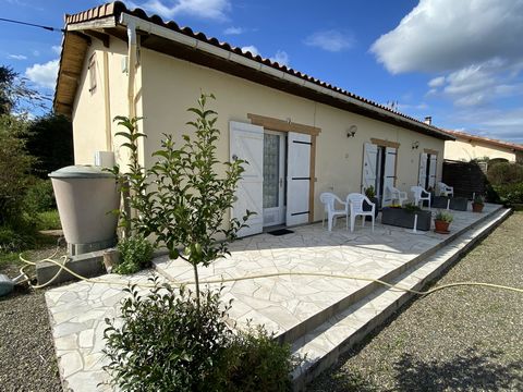 photo no. 9