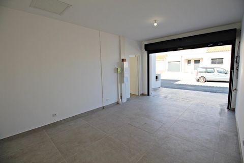 photo no. 12