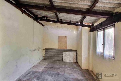 photo no. 16