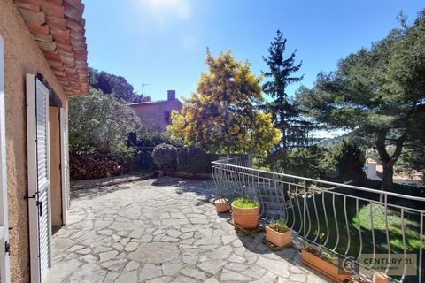photo no. 13