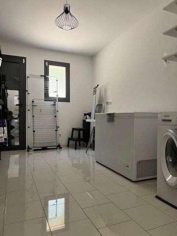 photo no. 14