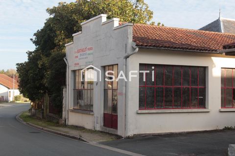 photo no. 2