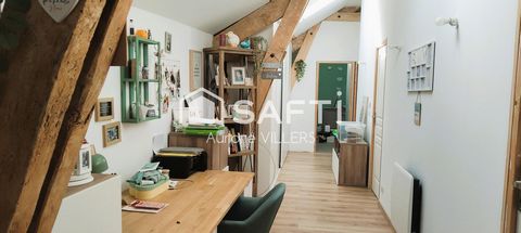 photo no. 11