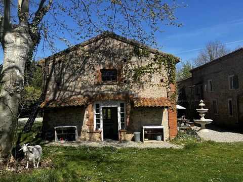 photo no. 13