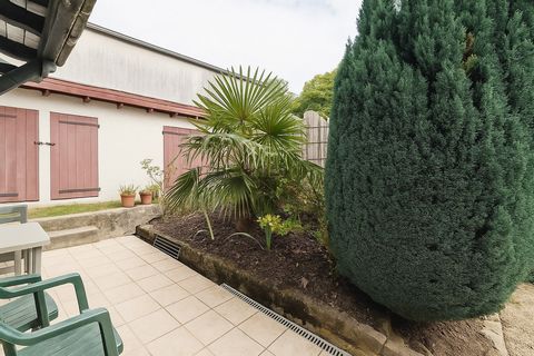 photo no. 9