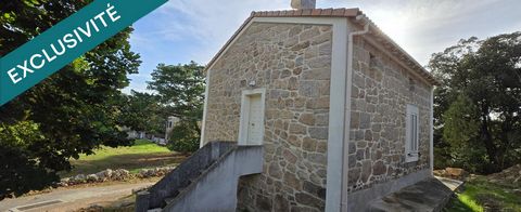 photo no. 1