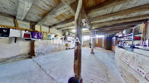 photo no. 9