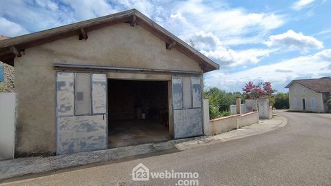 photo no. 11