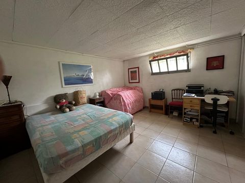 photo no. 12