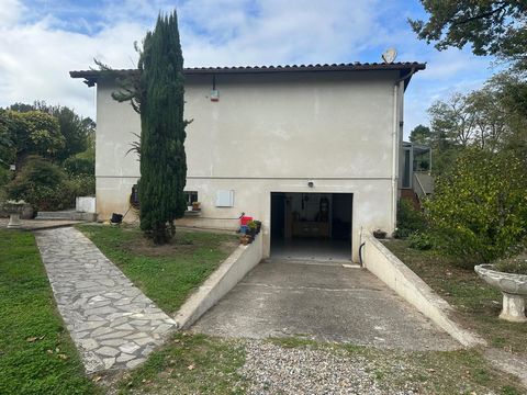 photo no. 15