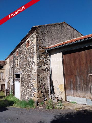 photo no. 11