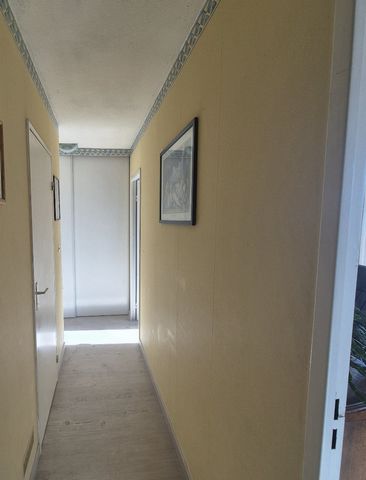 photo no. 22