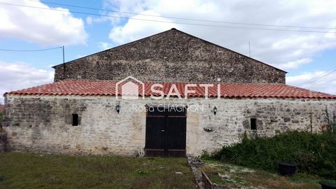 photo no. 15