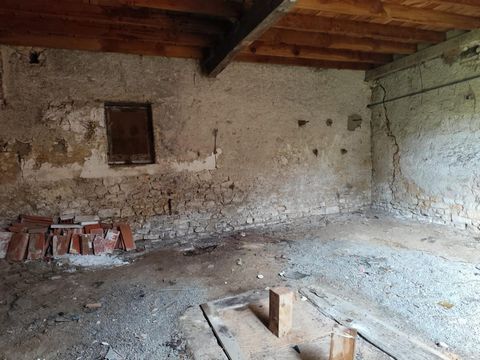 photo no. 5
