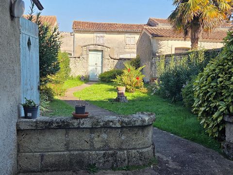 photo no. 16