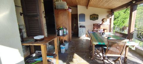 photo no. 11