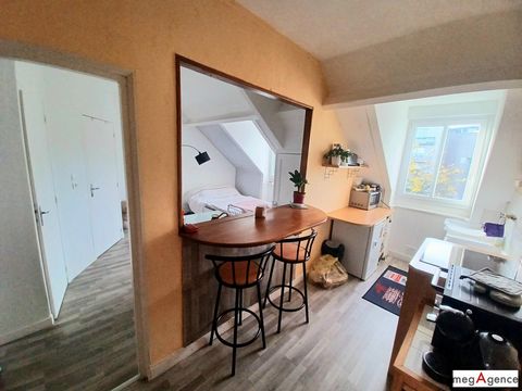 photo no. 12