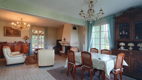 photo no. 6
