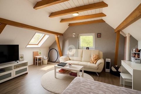 Dieses Einfamilienhaus in Borken-Gombeth ist perfekt für eine Familie, die viel Platz und Ruhe sucht. Mit 7 Zimmern, 3 Badezimmern und einer Wohnfläche von 260 m² bietet es genug Raum für jede Lebenssituation. Das Haus wurde 2005 komplett saniert und...