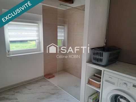 photo no. 11