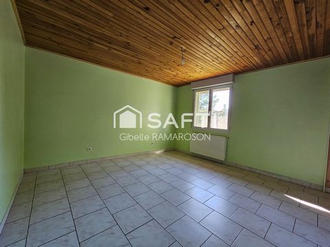 photo no. 5