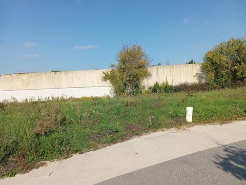 photo no. 2