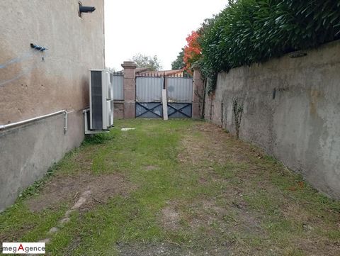 photo no. 11