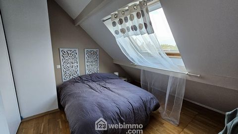 photo no. 10