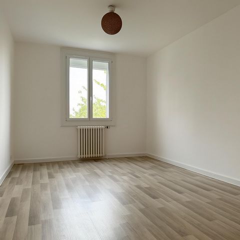photo no. 8