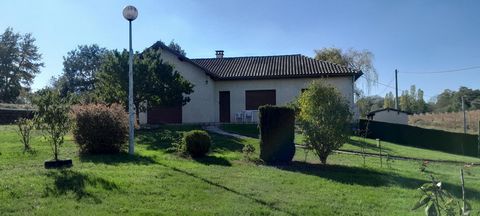photo no. 6