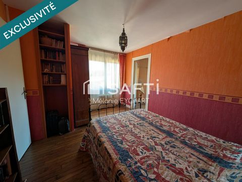 photo no. 11