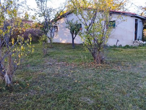 photo no. 16