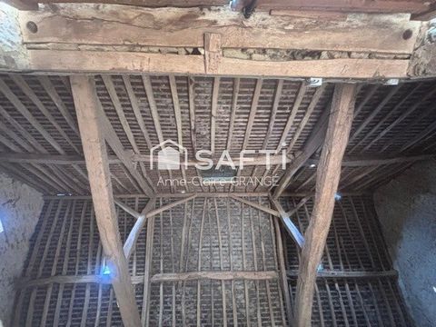 photo no. 10