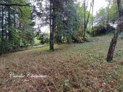 photo no. 12
