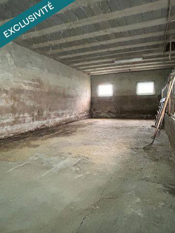 photo no. 12