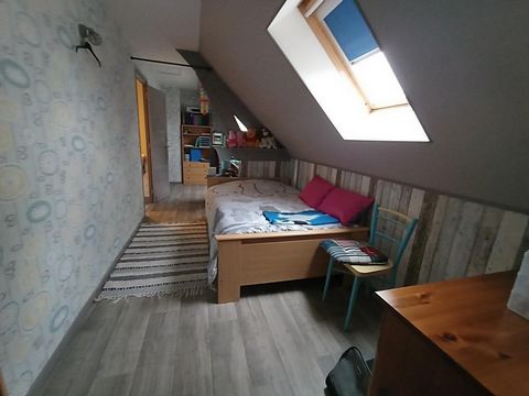 photo no. 11