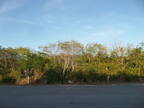 Two Vacant lots located in 