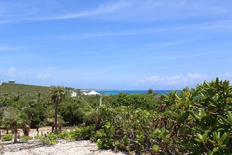 This property offers great elevation and ocean views of the Atlantic side of the island. The lot is located in Stella Maris where one has the Stella Maris Resort and Stella Maris Marina. Enjoy relaxing on the beach or the pool by the Moonshine Restau...